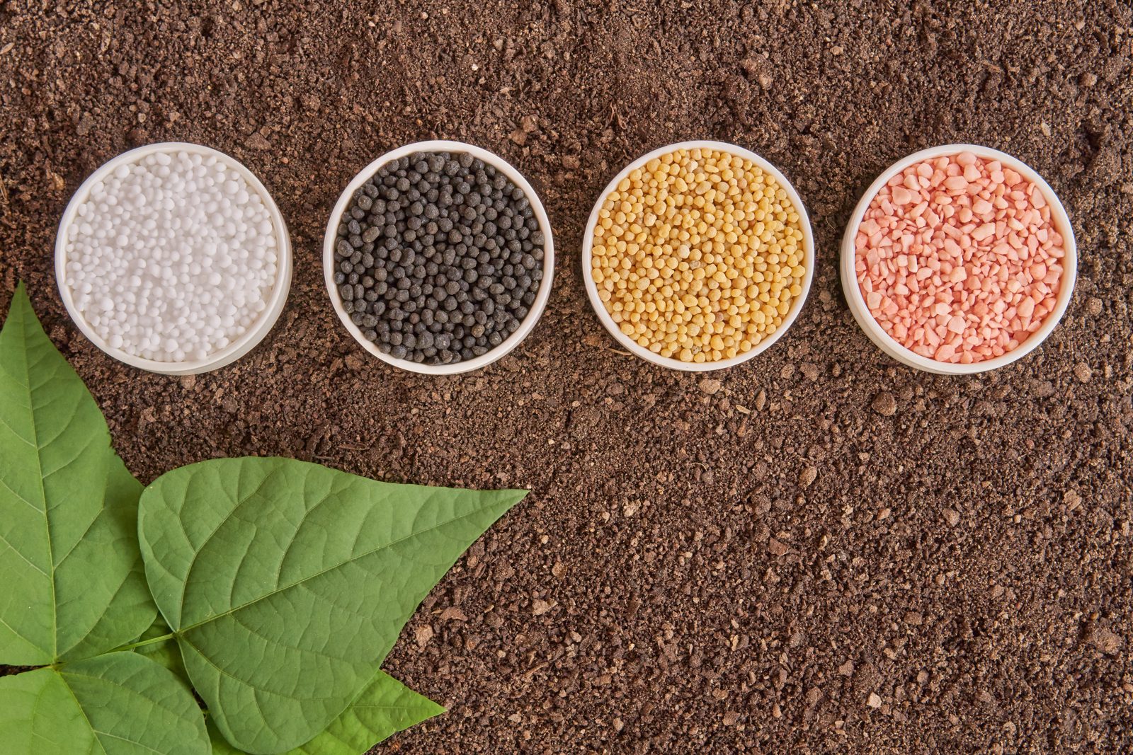 Granular Fertilizers