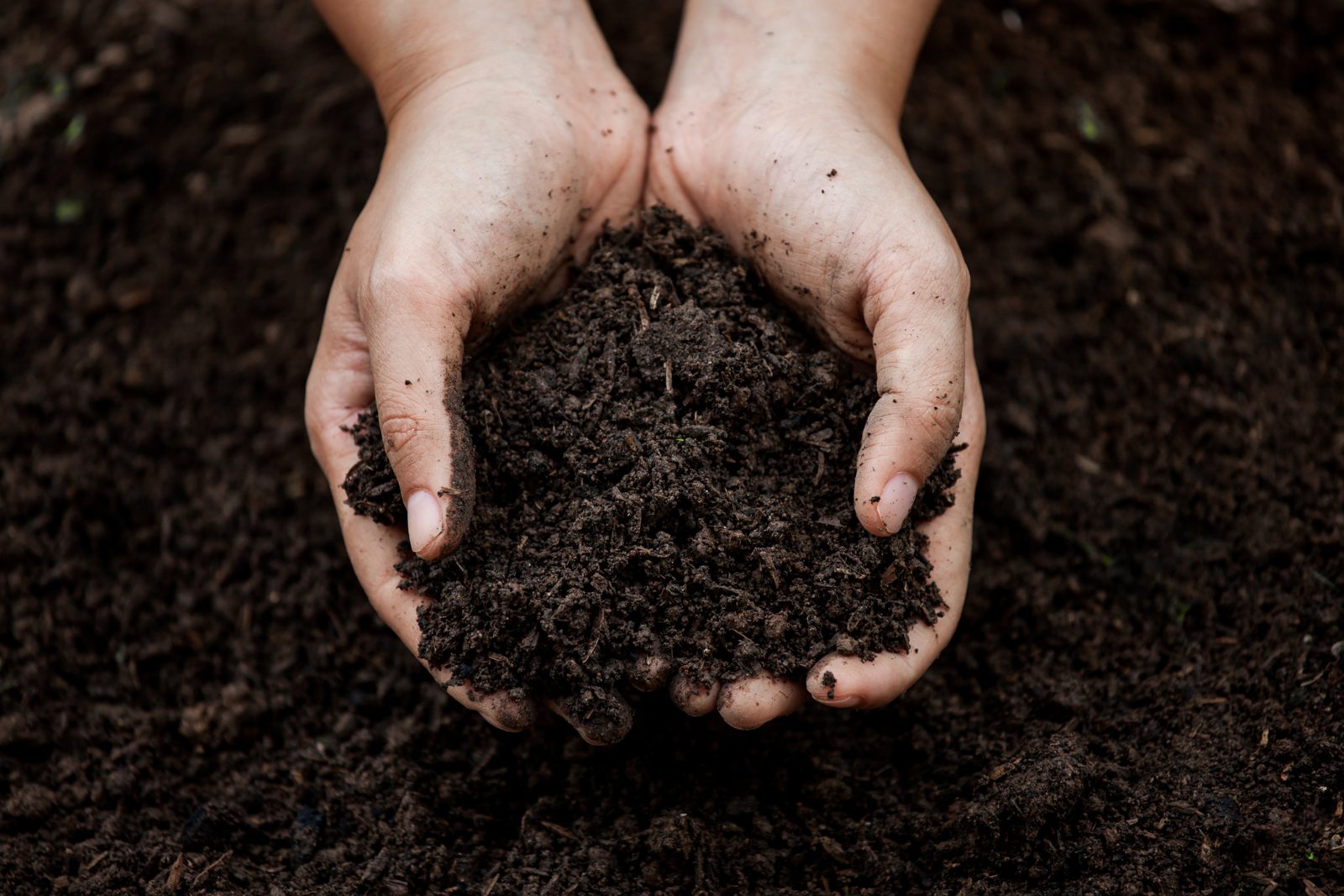 Soil Conditioners