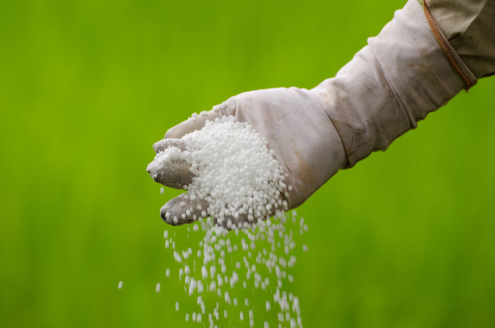 Straight Fertilizers