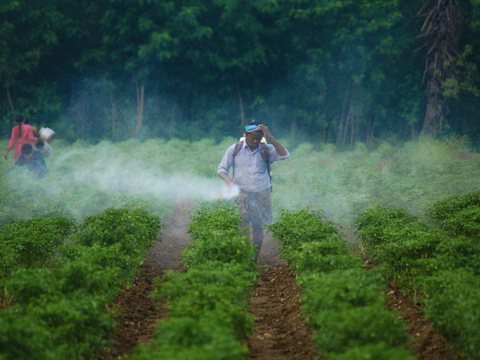 Pesticides