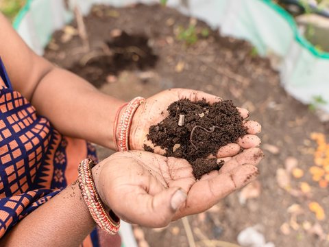 Soil Conditioners