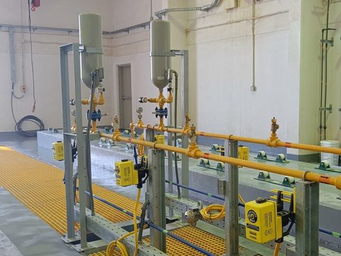Water Disinfection